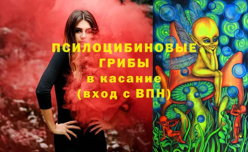 mega сайт  Инта  Галлюциногенные грибы Magic Shrooms 