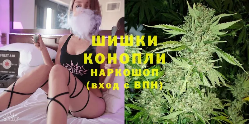 купить наркотики цена  Инта  Шишки марихуана THC 21% 